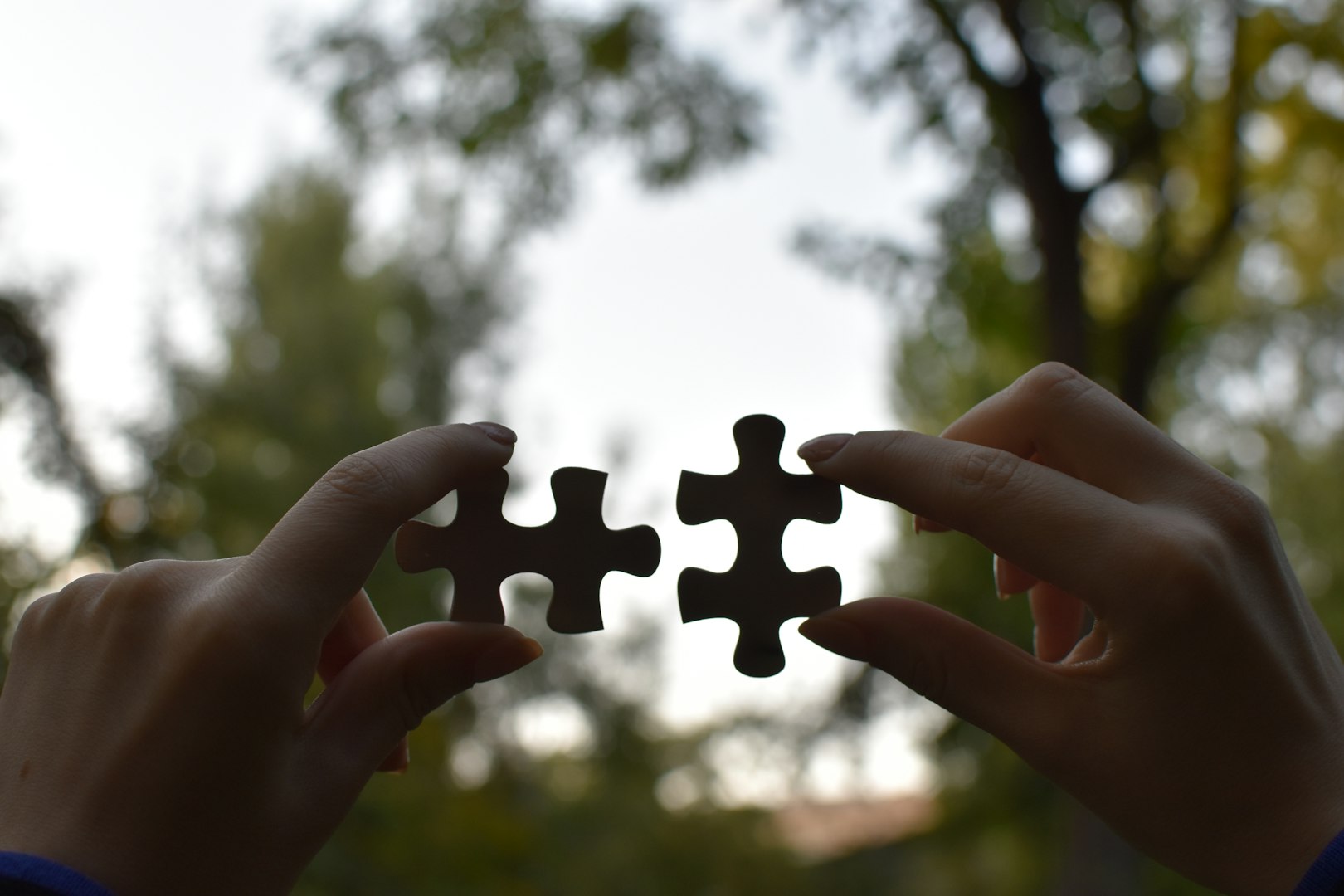 Two hands hold interlocking puzzle pieces against a blurred background of trees, suggesting connection and collaboration reflecting brend strategy. The mood is hopeful.