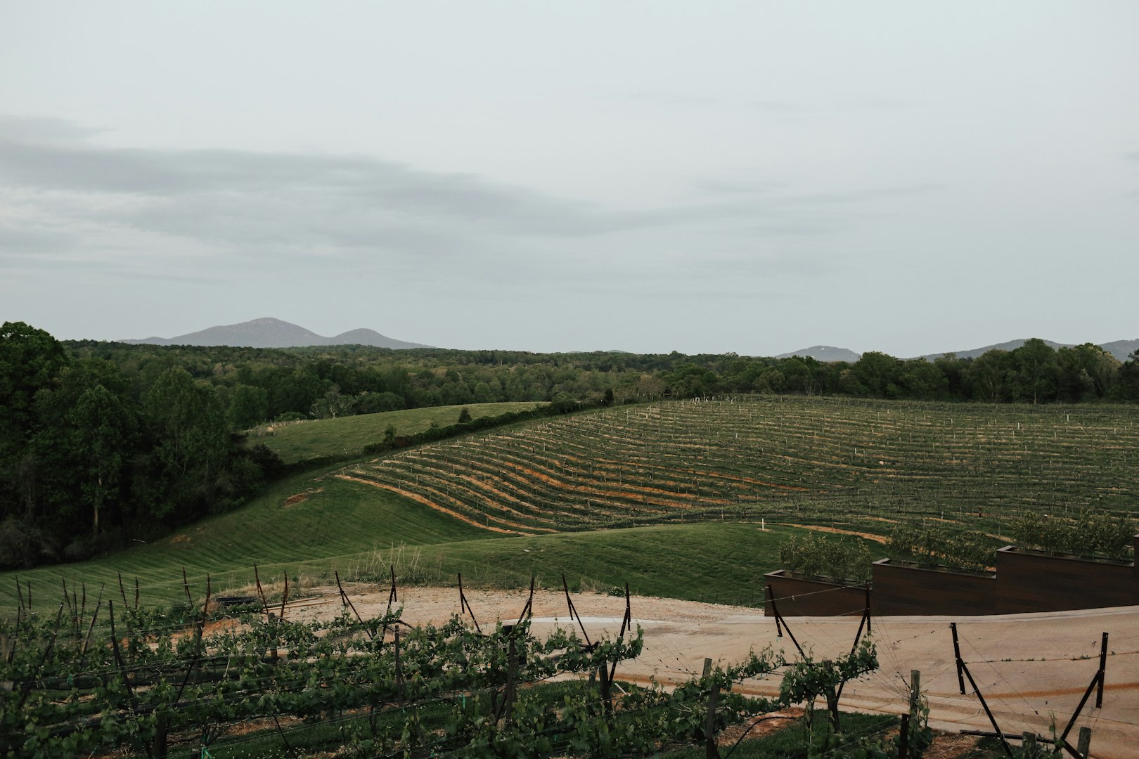 Expansive vineyard landscape with rolling green hills under an overcast sky. Vineyards arranged in neat rows, surrounded by trees and distant mountains. Tranquil and serene atmosphere for authentic experience and natural excursions.